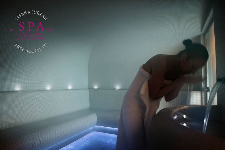 Hotel Du Petit Moulin