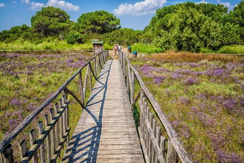 Apartment In Rosolina Mare 24920