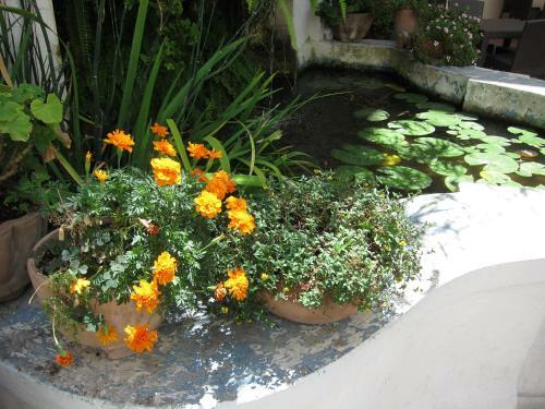 Albergue Ave Gratia Plena