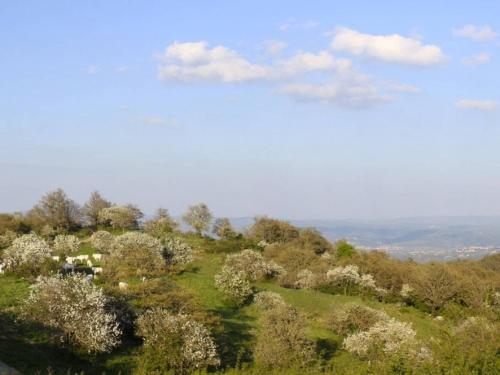 San Casciano Dei Bagni Villa Sleeps 12 Pool Wifi