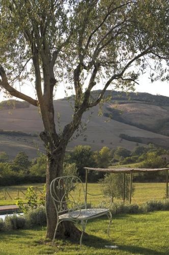 San Casciano Dei Bagni Villa Sleeps 13 Pool Air Con