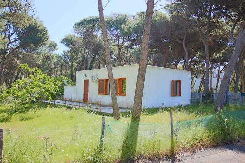 Casa Vacanze L'eden