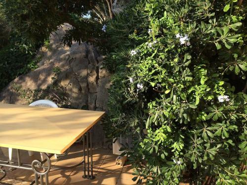 Apartamento Petra 5