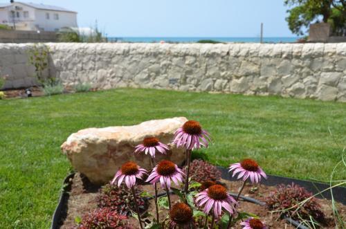 Apartamento Sabbia Dorata