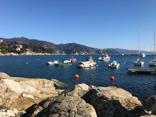 Apartamento Residence "delfino" Con Piscina E Campo Da Tennis