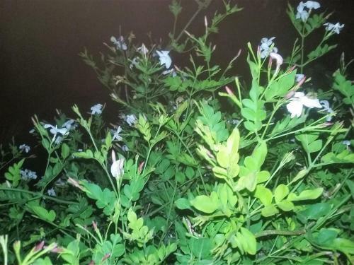 B&B Monterosso