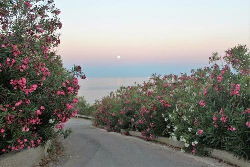B&B Monterosso