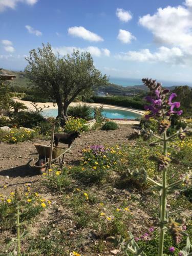 Agroturismo Agriturismo Casa Balata
