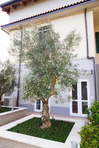 Apartamento Appartamenti Leonardo