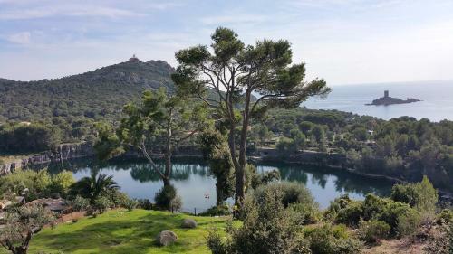 Apartamento Cap Est�rel Vacances - Studio Mer G2 Terrasse Couverte - 256la