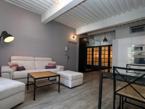 Apartamentos La Terrasse Carnot, In Annecy Downtown