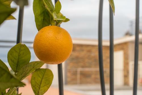 Hotel H�tel Le Monesti� - B�ziers A9/a75
