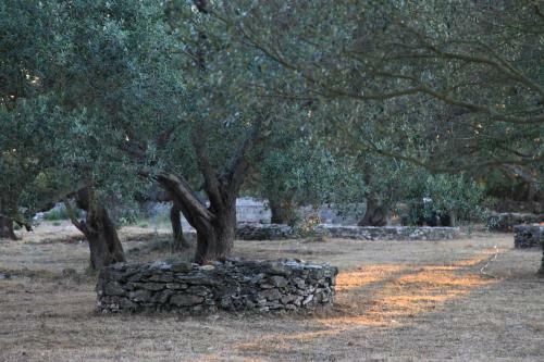 Bed & Breakfast A Loghja Di Cavallo Morto