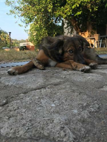 Bed & Breakfast A Loghja Di Cavallo Morto