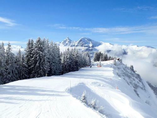 Apartamento Chalet 8 Pers. Orient� Plein Sud 70039