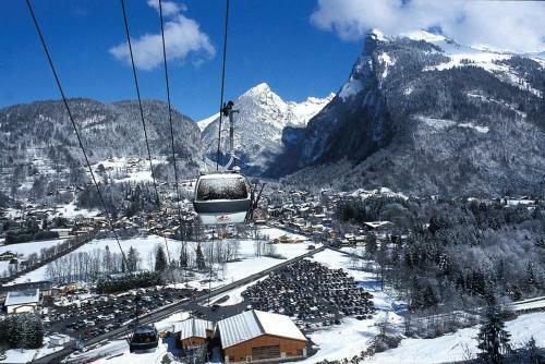 Apartamento Chalet 5 Pers. Vue Montagne 70038