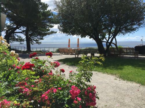 Bed & Breakfast Villa La Brise
