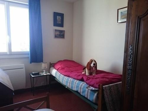 Apartment Appartement T4 - Face Mer - Centre Station - Ref Gra 216