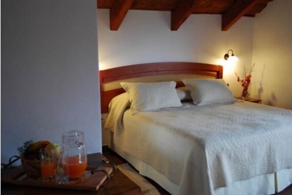 Hotel Puc�n Green Park
