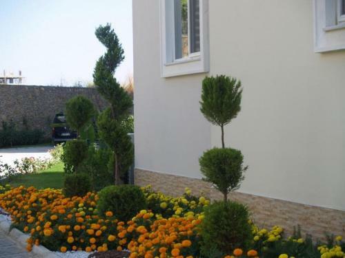 Apartamento Orion Resort Zara 20