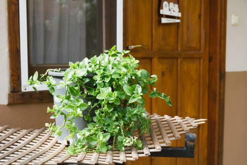 Village Garden Pansiyon