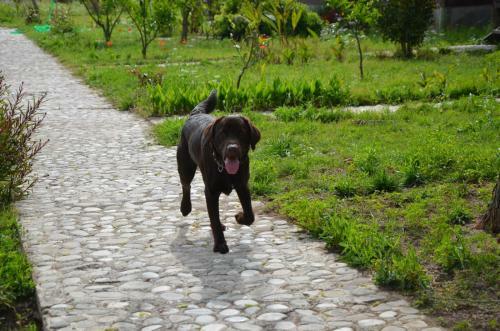 Bed & Breakfast Bungalowsky