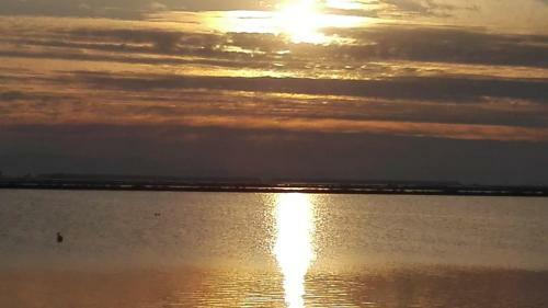 Bed & Breakfast Bungalowsky