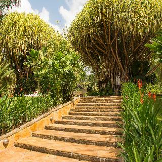 Hotel Arenal Paraiso Resort & Spa