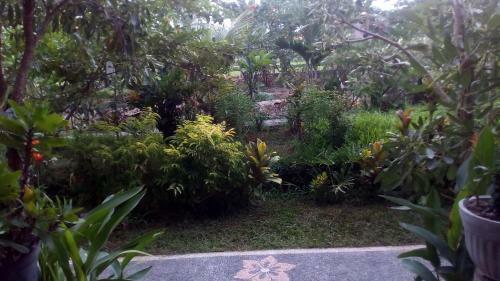 Hostal Restu House