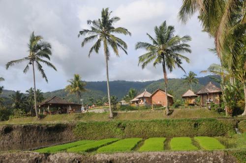 Lodge Puri Sunny Camp