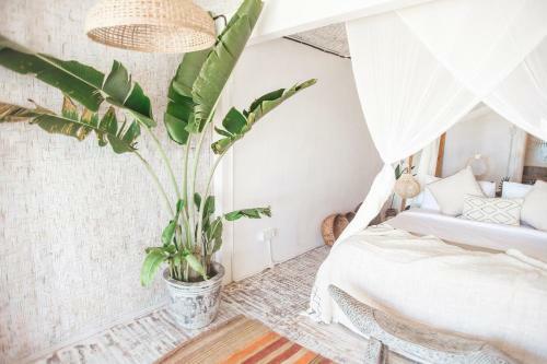 Hotel Dreamsea Bali