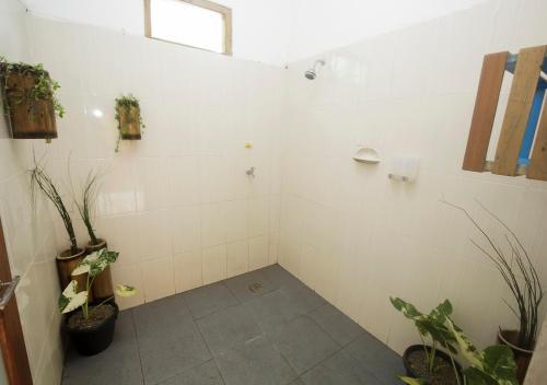 Albergue Dorme Tree