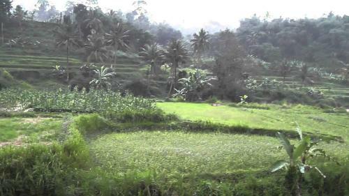 Hostal Gg House Puncak