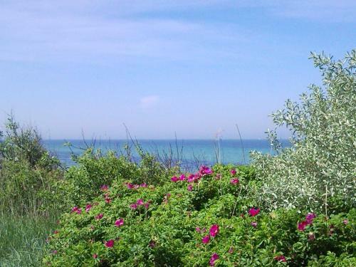 Apartamento Bungalow Nr_1 Bei Wismar _ Ostsee