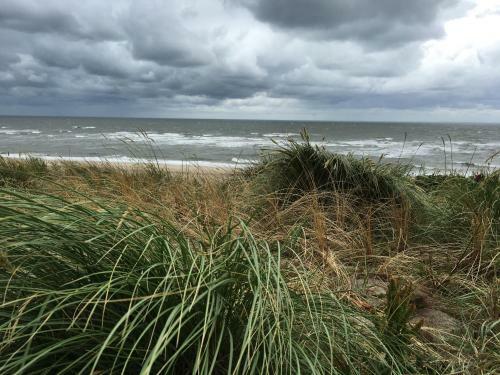 Apartamento Wohnung Am Meer Sylt