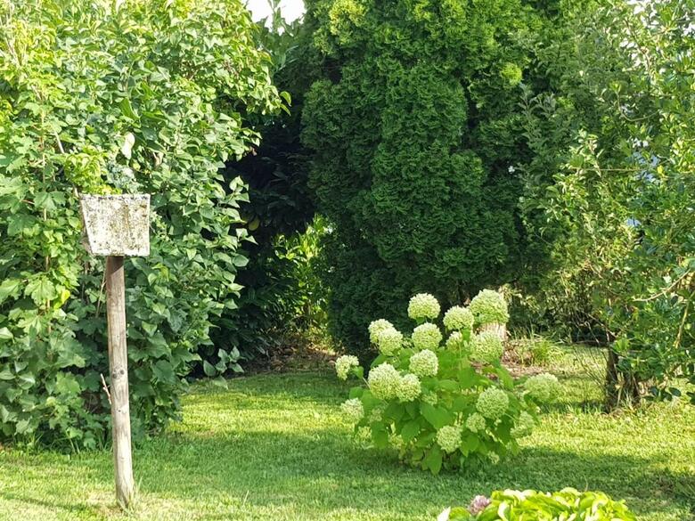 Ferienhaus Jutta Am Bodensee