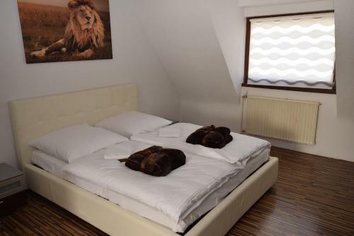 Apartment Gablenberg I