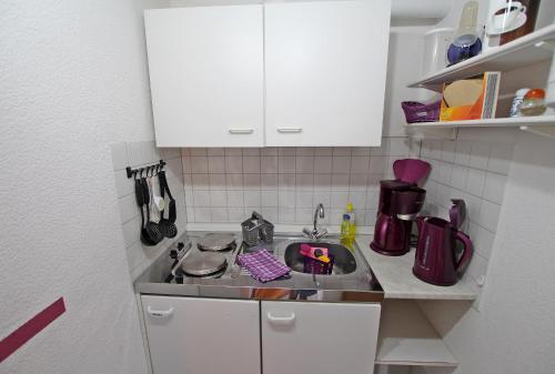 Apartamento Ferienwohnungen Rheinsberg See 9830