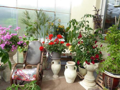 Apartamento Landluftfewo-r�gen