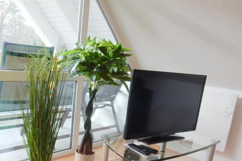 Apartamento Hinter Den D�nen D60 - [#79996]