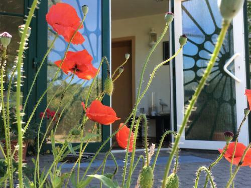 Hostal Hotel-pension Seeadler