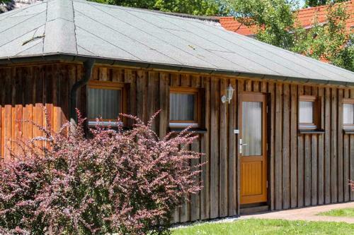 Apartamento Fewo Buchentraum 1_4 _ Prerow