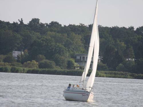 Gelb Muschelsucher