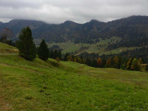 Apartamento Appartement Bergfrieden