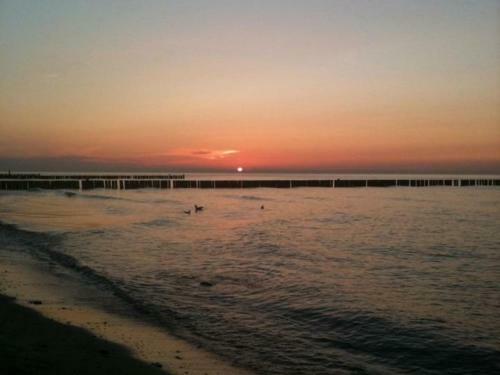 Apartamento Appartement Mit Balkon Nah Am Strand 211