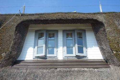 Apartamento Sylt-traum-keitum-moewe