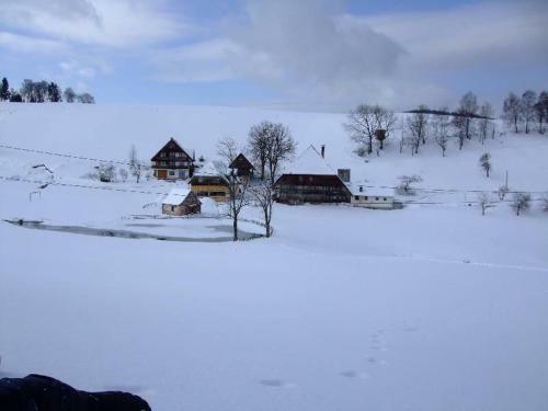 Apartamento Ferienwohnungen S�gehof