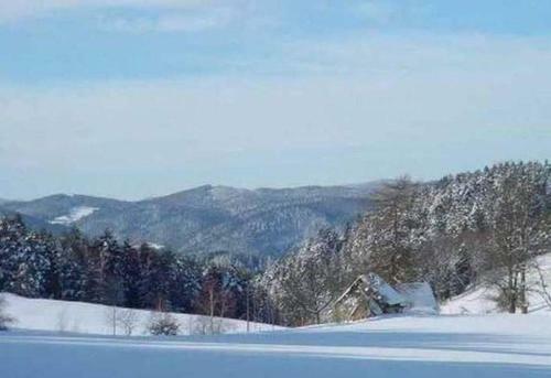Apartamento Ferienwohnungen S�gehof