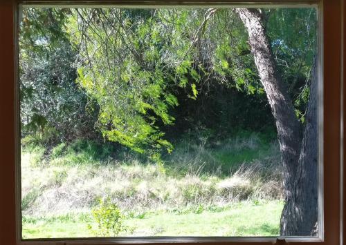 Darling House Castlemaine
