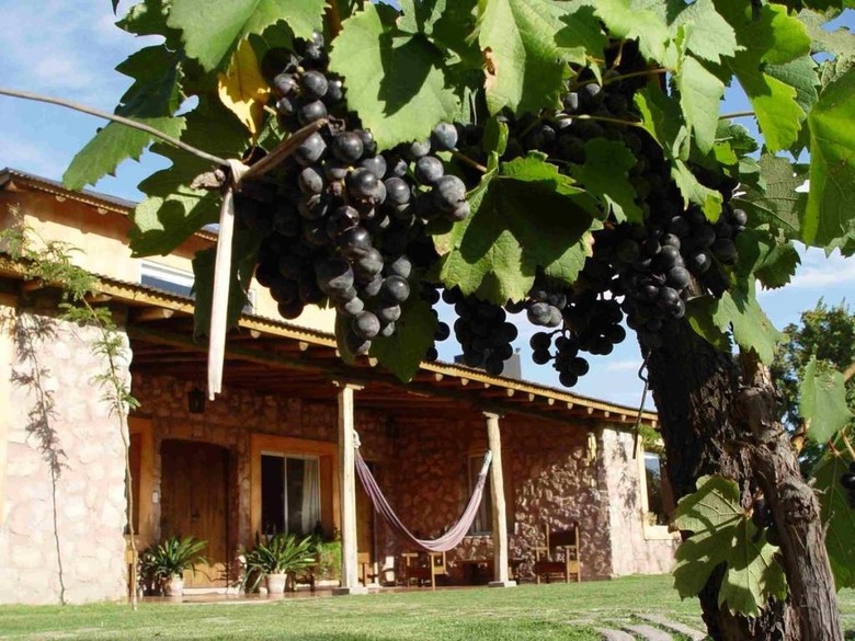 Hotel Finca Adalgisa